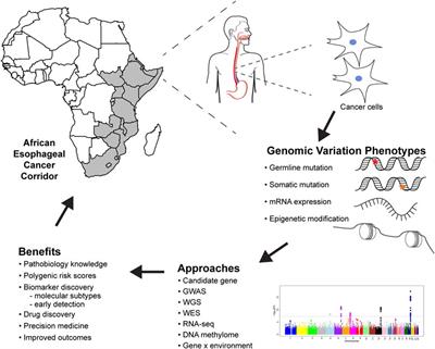 Esophageal Cancer Genomics in Africa: Recommendations for Future Research